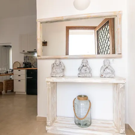 Anemis Apartment Tinos Exterior photo