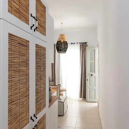 Anemis Apartment Tinos Exterior photo